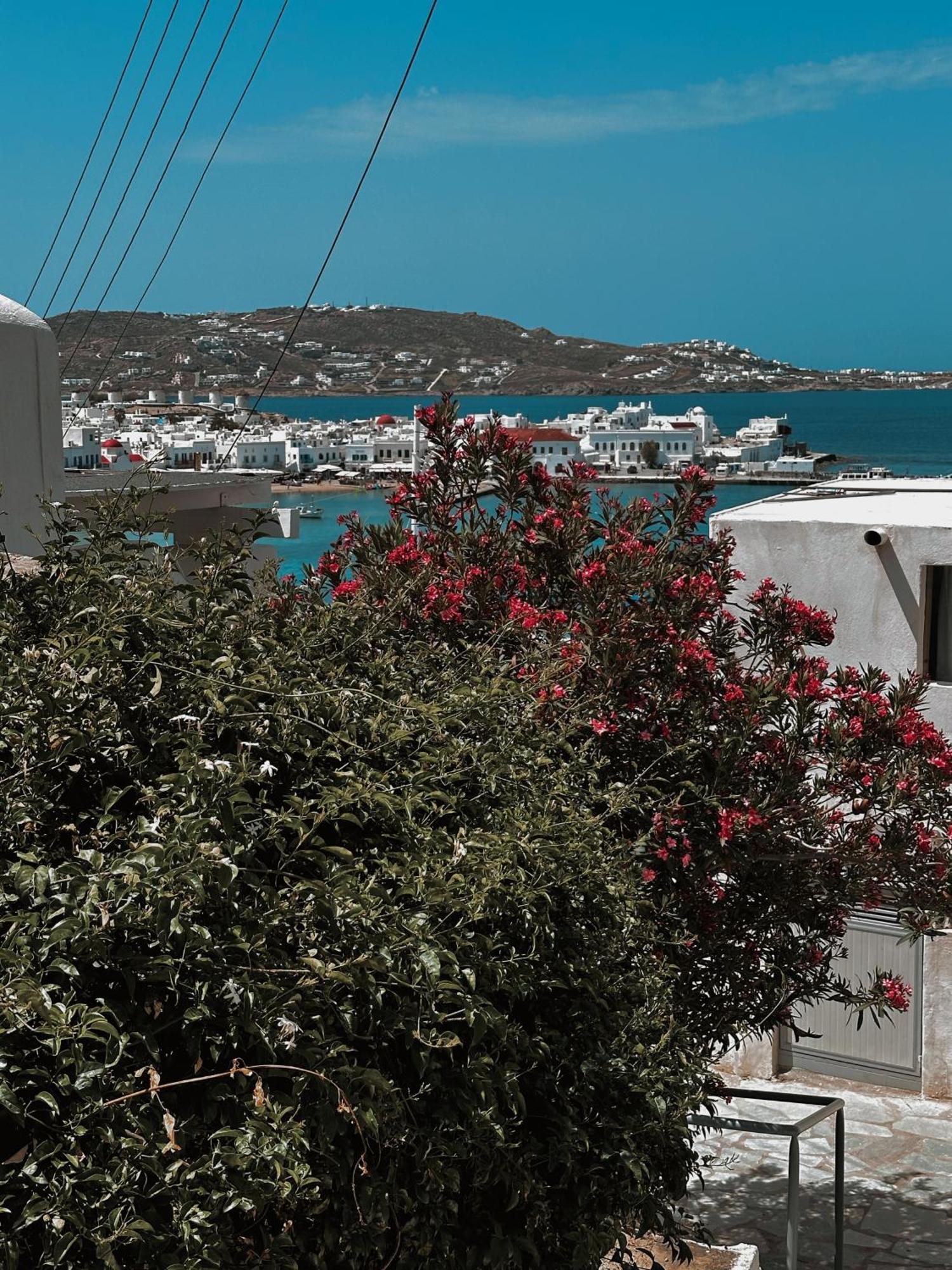 Vakantiehuis Sunset View Garden House Of Mykonos *